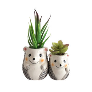 绿植02_美图抠图06-23-2025